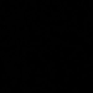 Meet your Posher, Rose